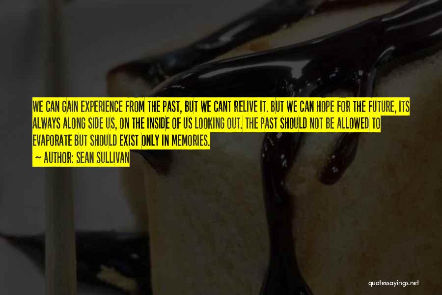 Sean Sullivan Quotes: We Can Gain Experience From The Past, But We Cant Relive It. But We Can Hope For The Future, Its