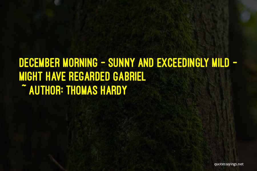 Thomas Hardy Quotes: December Morning - Sunny And Exceedingly Mild - Might Have Regarded Gabriel