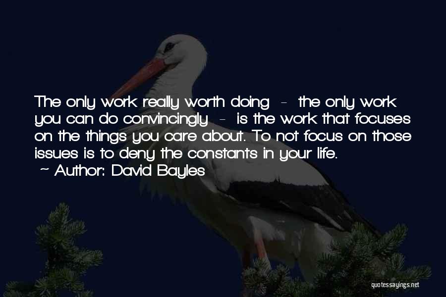 David Bayles Quotes: The Only Work Really Worth Doing - The Only Work You Can Do Convincingly - Is The Work That Focuses