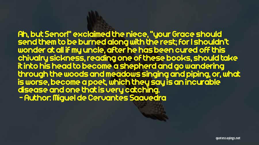Miguel De Cervantes Saavedra Quotes: Ah, But Senor! Exclaimed The Niece, Your Grace Should Send Them To Be Burned Along With The Rest; For I