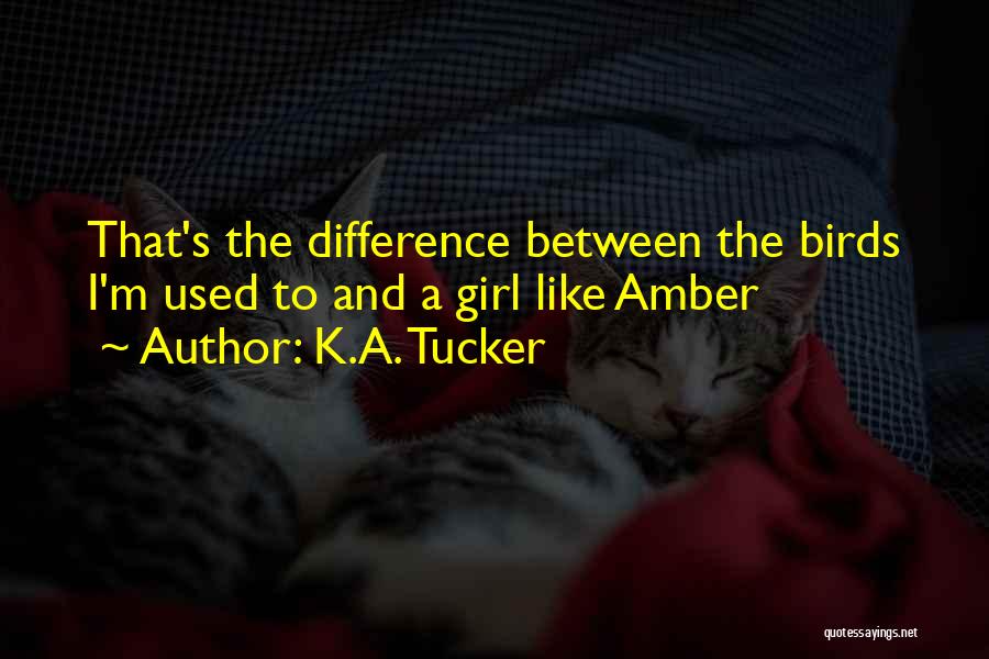 K.A. Tucker Quotes: That's The Difference Between The Birds I'm Used To And A Girl Like Amber