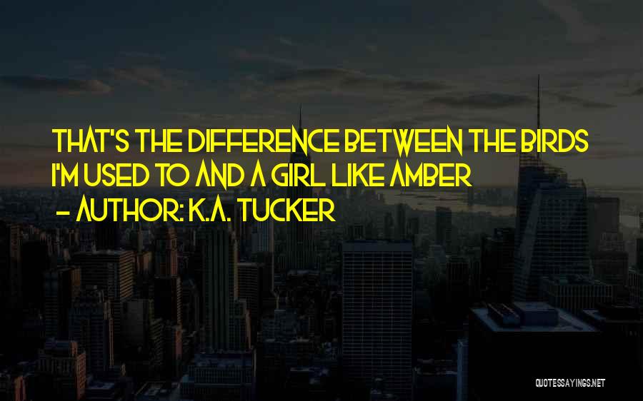 K.A. Tucker Quotes: That's The Difference Between The Birds I'm Used To And A Girl Like Amber