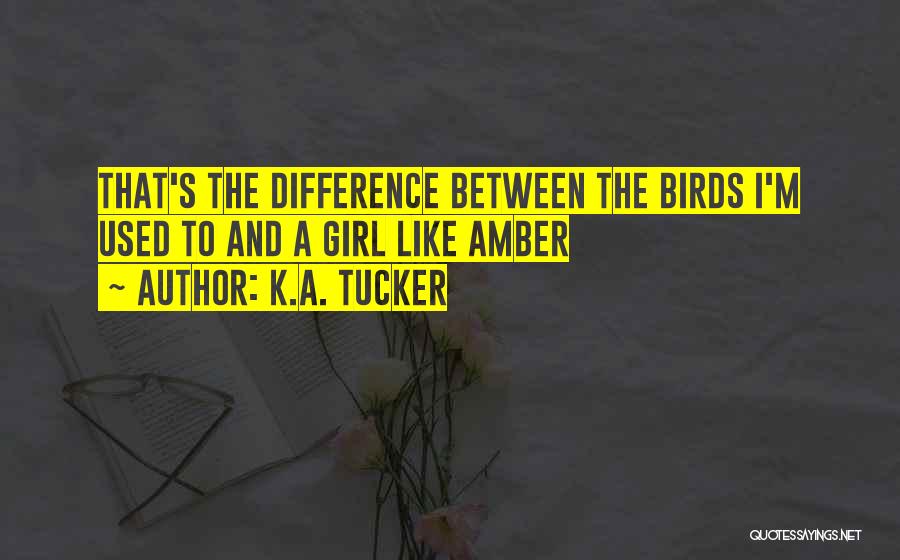 K.A. Tucker Quotes: That's The Difference Between The Birds I'm Used To And A Girl Like Amber