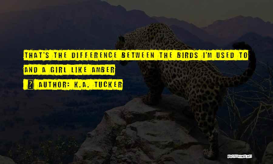 K.A. Tucker Quotes: That's The Difference Between The Birds I'm Used To And A Girl Like Amber