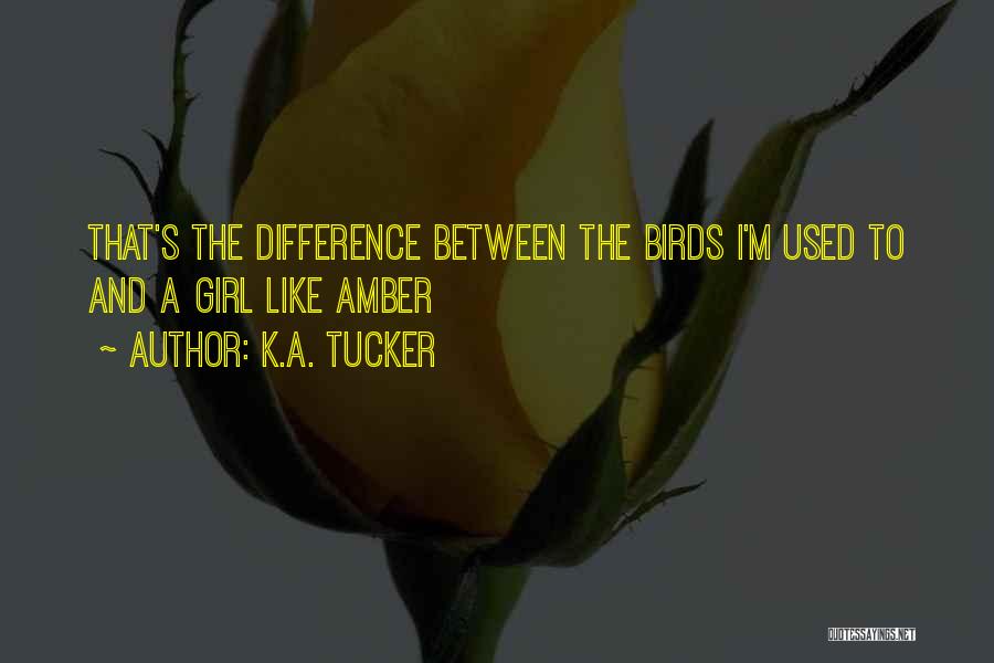 K.A. Tucker Quotes: That's The Difference Between The Birds I'm Used To And A Girl Like Amber
