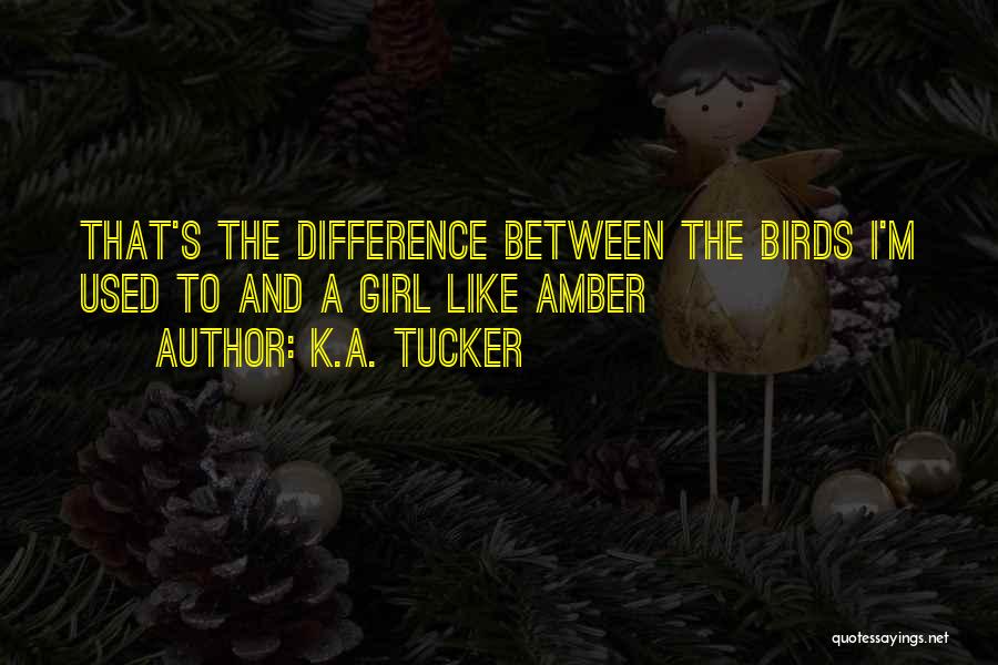K.A. Tucker Quotes: That's The Difference Between The Birds I'm Used To And A Girl Like Amber