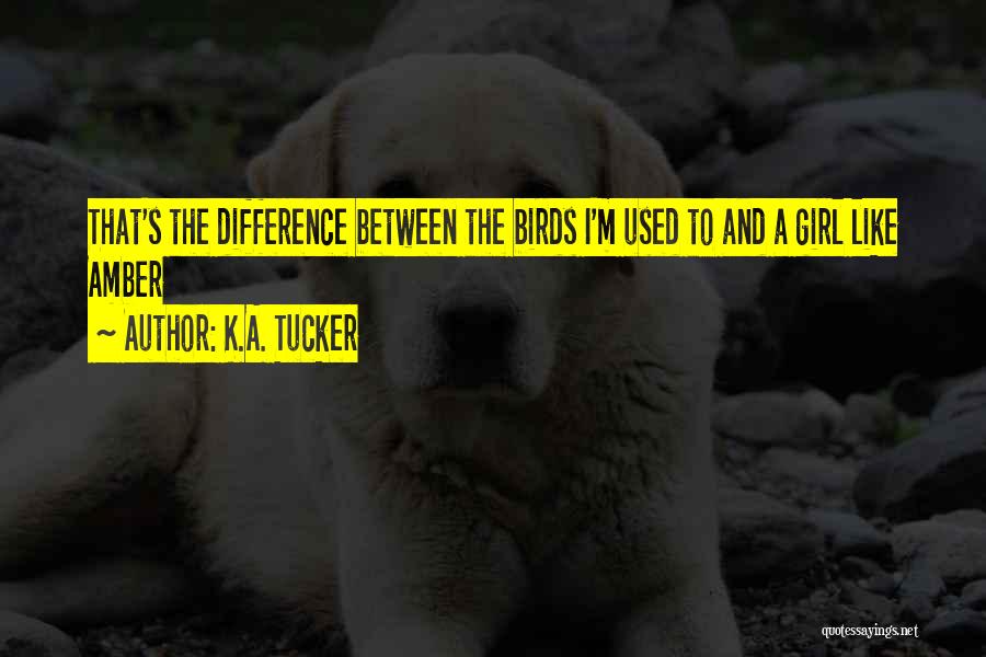 K.A. Tucker Quotes: That's The Difference Between The Birds I'm Used To And A Girl Like Amber