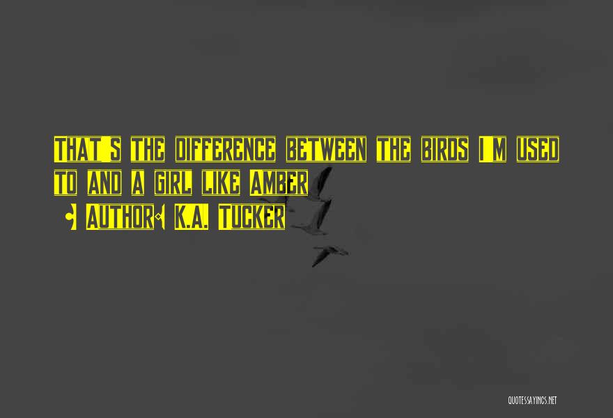 K.A. Tucker Quotes: That's The Difference Between The Birds I'm Used To And A Girl Like Amber