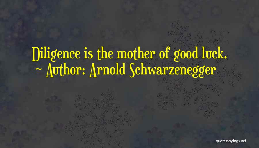 Arnold Schwarzenegger Quotes: Diligence Is The Mother Of Good Luck.