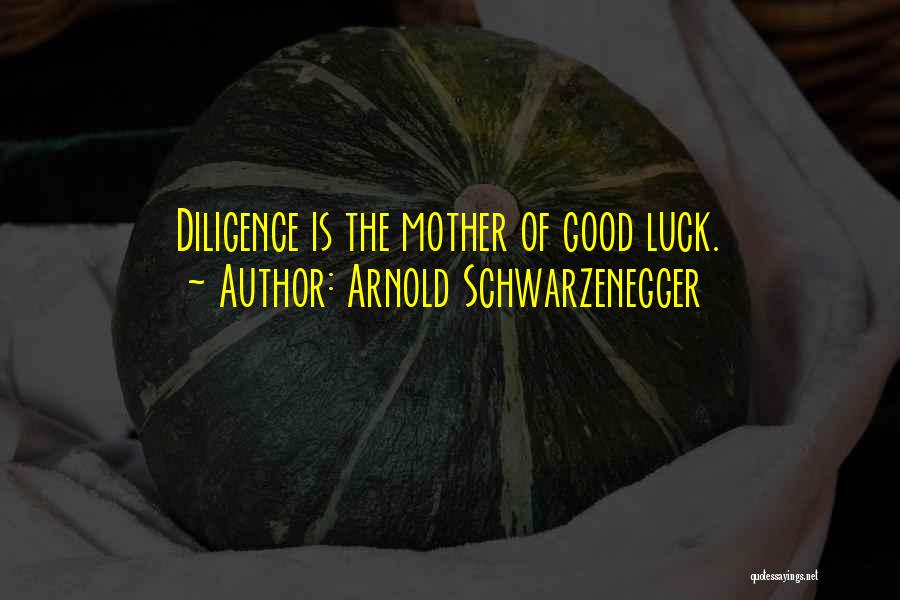 Arnold Schwarzenegger Quotes: Diligence Is The Mother Of Good Luck.