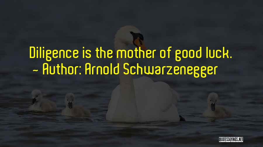 Arnold Schwarzenegger Quotes: Diligence Is The Mother Of Good Luck.