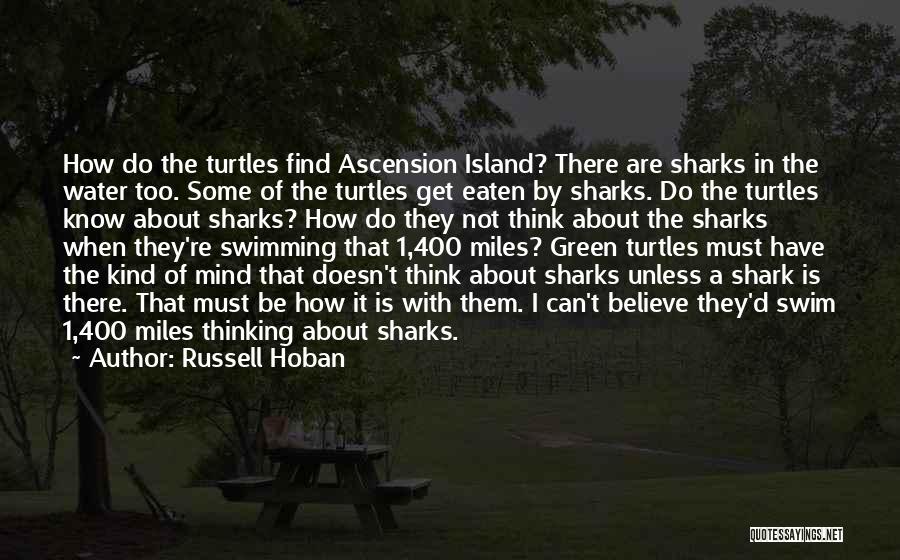 Russell Hoban Quotes: How Do The Turtles Find Ascension Island? There Are Sharks In The Water Too. Some Of The Turtles Get Eaten