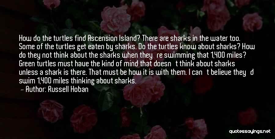 Russell Hoban Quotes: How Do The Turtles Find Ascension Island? There Are Sharks In The Water Too. Some Of The Turtles Get Eaten