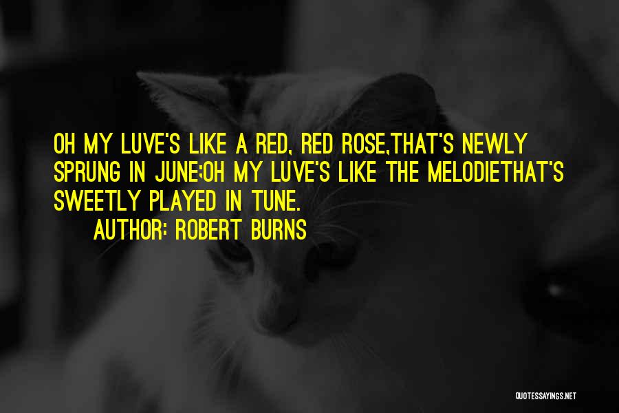 Robert Burns Quotes: Oh My Luve's Like A Red, Red Rose,that's Newly Sprung In June;oh My Luve's Like The Melodiethat's Sweetly Played In