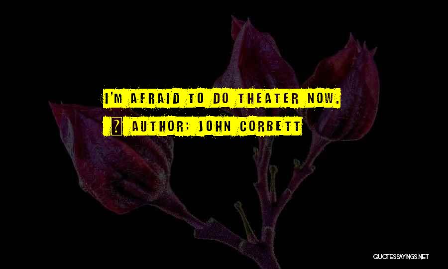 John Corbett Quotes: I'm Afraid To Do Theater Now.
