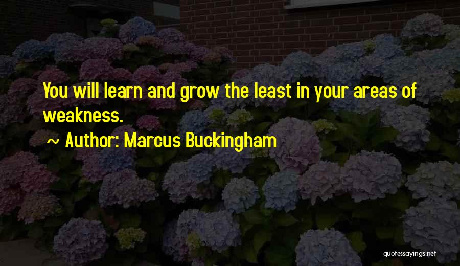 Marcus Buckingham Quotes: You Will Learn And Grow The Least In Your Areas Of Weakness.