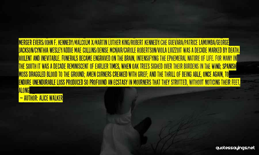 Alice Walker Quotes: Merger Evers/john F. Kennedy/malcolm X/martin Luther King/robert Kennedy/che Guevara/patrice Lamumba/george Jackson/cynthia Wesley/addie Mae Collins/denise Mcnair/carole Robertson/viola Liuzzoit Was A Decade