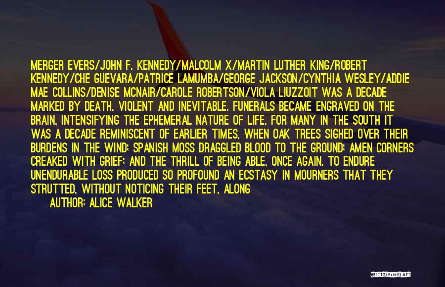 Alice Walker Quotes: Merger Evers/john F. Kennedy/malcolm X/martin Luther King/robert Kennedy/che Guevara/patrice Lamumba/george Jackson/cynthia Wesley/addie Mae Collins/denise Mcnair/carole Robertson/viola Liuzzoit Was A Decade