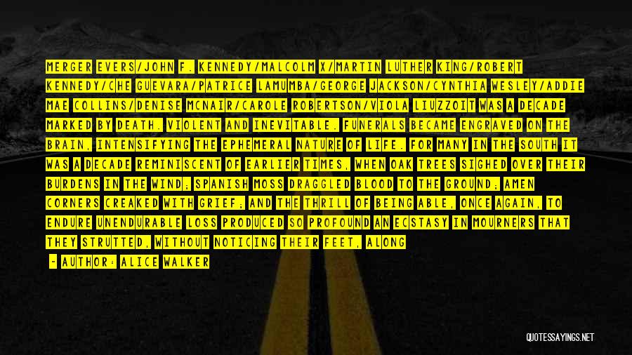 Alice Walker Quotes: Merger Evers/john F. Kennedy/malcolm X/martin Luther King/robert Kennedy/che Guevara/patrice Lamumba/george Jackson/cynthia Wesley/addie Mae Collins/denise Mcnair/carole Robertson/viola Liuzzoit Was A Decade