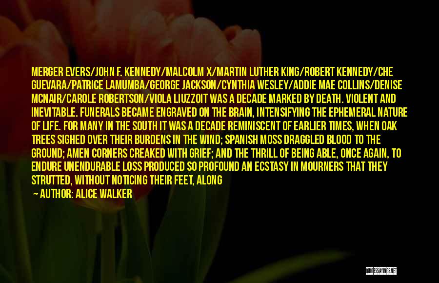 Alice Walker Quotes: Merger Evers/john F. Kennedy/malcolm X/martin Luther King/robert Kennedy/che Guevara/patrice Lamumba/george Jackson/cynthia Wesley/addie Mae Collins/denise Mcnair/carole Robertson/viola Liuzzoit Was A Decade