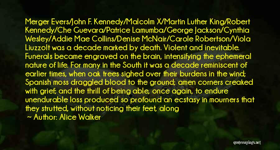 Alice Walker Quotes: Merger Evers/john F. Kennedy/malcolm X/martin Luther King/robert Kennedy/che Guevara/patrice Lamumba/george Jackson/cynthia Wesley/addie Mae Collins/denise Mcnair/carole Robertson/viola Liuzzoit Was A Decade