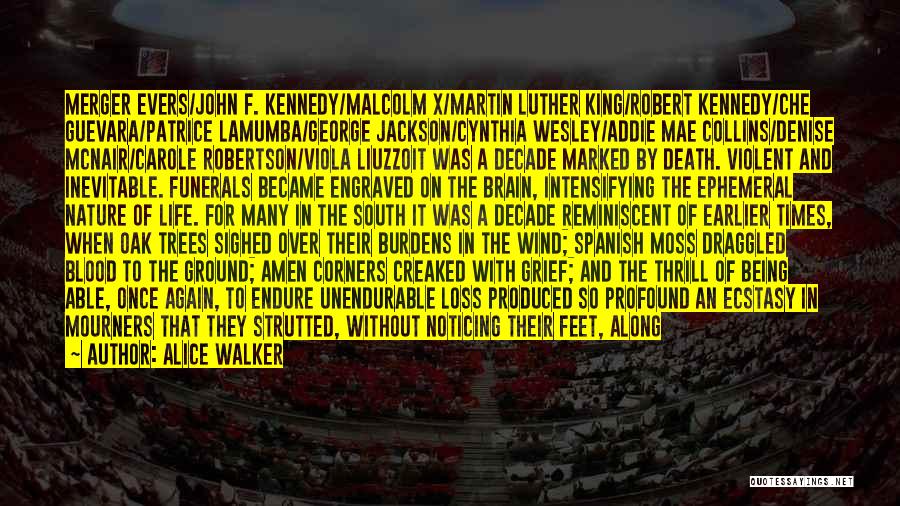 Alice Walker Quotes: Merger Evers/john F. Kennedy/malcolm X/martin Luther King/robert Kennedy/che Guevara/patrice Lamumba/george Jackson/cynthia Wesley/addie Mae Collins/denise Mcnair/carole Robertson/viola Liuzzoit Was A Decade