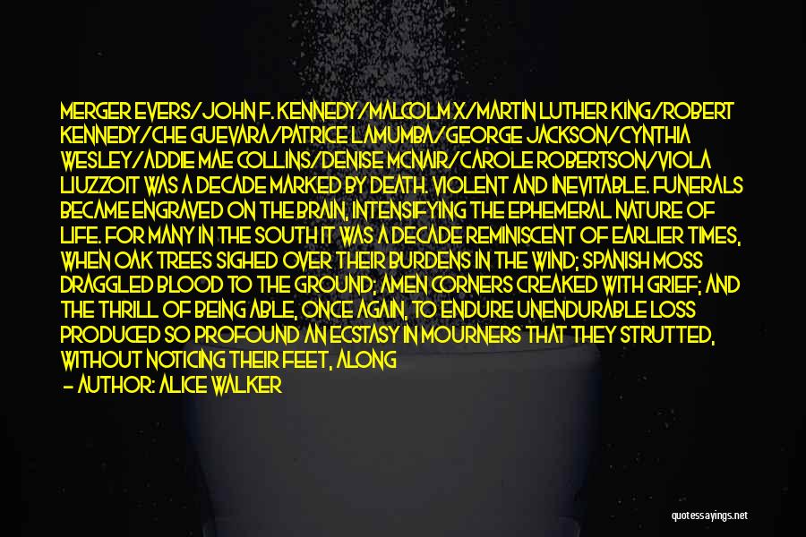 Alice Walker Quotes: Merger Evers/john F. Kennedy/malcolm X/martin Luther King/robert Kennedy/che Guevara/patrice Lamumba/george Jackson/cynthia Wesley/addie Mae Collins/denise Mcnair/carole Robertson/viola Liuzzoit Was A Decade