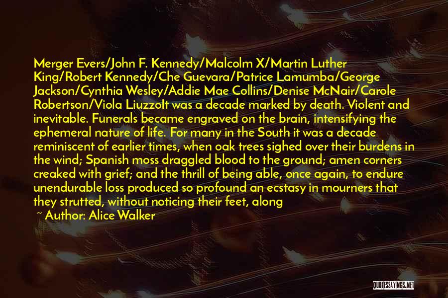 Alice Walker Quotes: Merger Evers/john F. Kennedy/malcolm X/martin Luther King/robert Kennedy/che Guevara/patrice Lamumba/george Jackson/cynthia Wesley/addie Mae Collins/denise Mcnair/carole Robertson/viola Liuzzoit Was A Decade