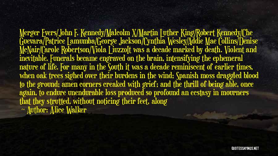 Alice Walker Quotes: Merger Evers/john F. Kennedy/malcolm X/martin Luther King/robert Kennedy/che Guevara/patrice Lamumba/george Jackson/cynthia Wesley/addie Mae Collins/denise Mcnair/carole Robertson/viola Liuzzoit Was A Decade