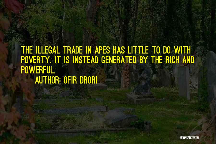 Ofir Drori Quotes: The Illegal Trade In Apes Has Little To Do With Poverty. It Is Instead Generated By The Rich And Powerful.