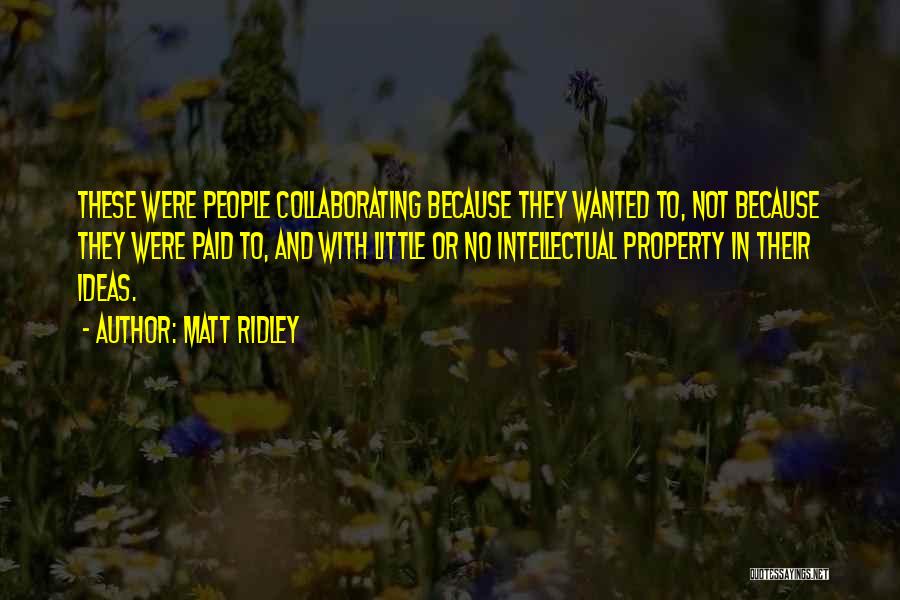 Matt Ridley Quotes: These Were People Collaborating Because They Wanted To, Not Because They Were Paid To, And With Little Or No Intellectual