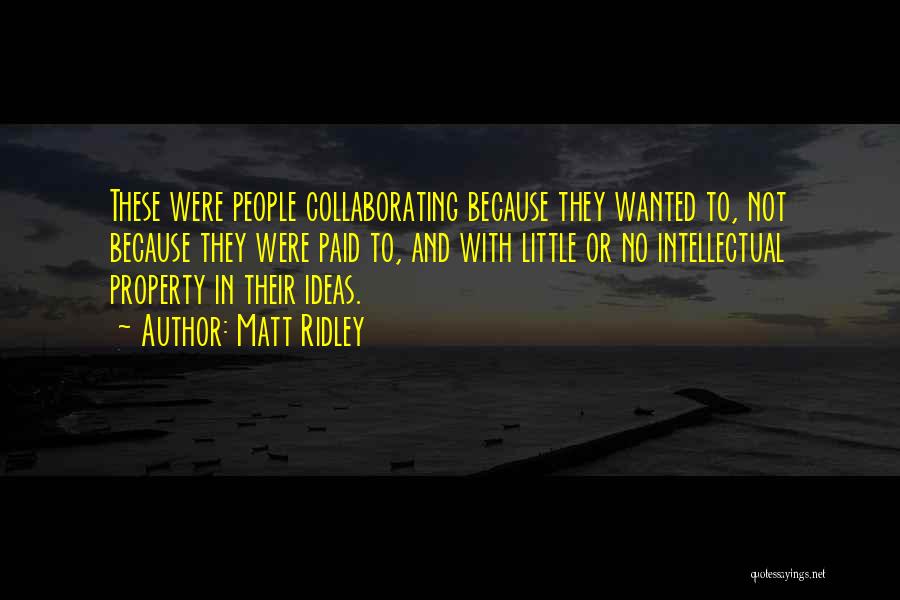 Matt Ridley Quotes: These Were People Collaborating Because They Wanted To, Not Because They Were Paid To, And With Little Or No Intellectual