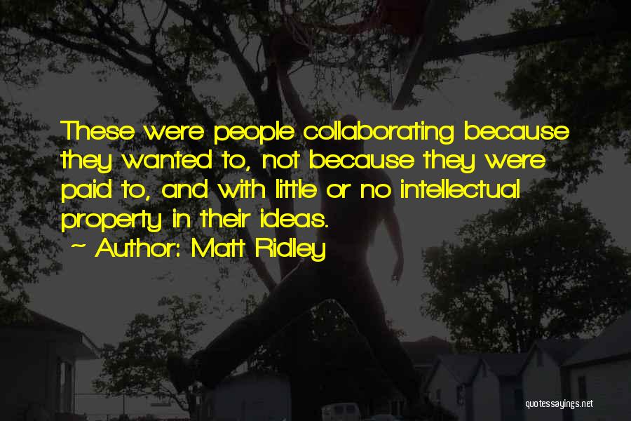 Matt Ridley Quotes: These Were People Collaborating Because They Wanted To, Not Because They Were Paid To, And With Little Or No Intellectual