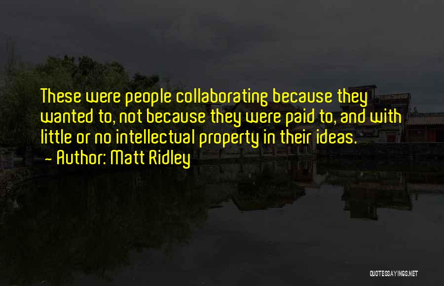 Matt Ridley Quotes: These Were People Collaborating Because They Wanted To, Not Because They Were Paid To, And With Little Or No Intellectual