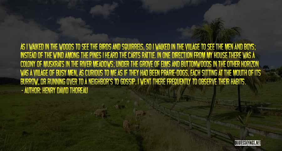 Henry David Thoreau Quotes: As I Walked In The Woods To See The Birds And Squirrels, So I Walked In The Village To See