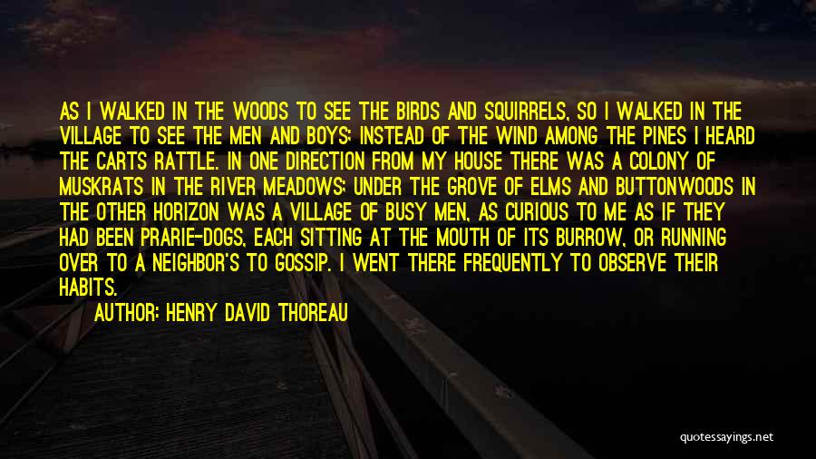 Henry David Thoreau Quotes: As I Walked In The Woods To See The Birds And Squirrels, So I Walked In The Village To See