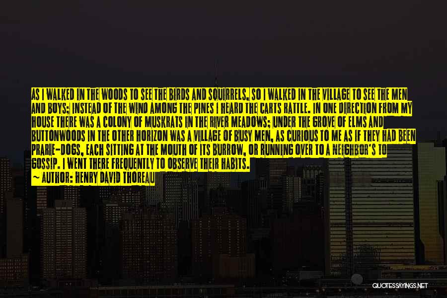 Henry David Thoreau Quotes: As I Walked In The Woods To See The Birds And Squirrels, So I Walked In The Village To See