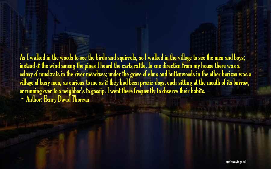 Henry David Thoreau Quotes: As I Walked In The Woods To See The Birds And Squirrels, So I Walked In The Village To See