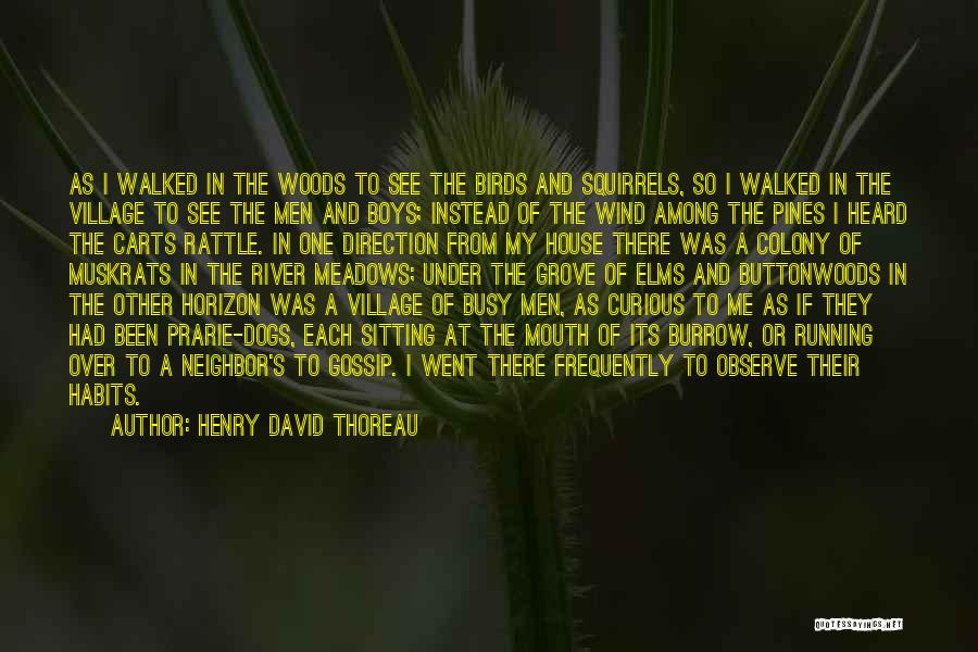 Henry David Thoreau Quotes: As I Walked In The Woods To See The Birds And Squirrels, So I Walked In The Village To See