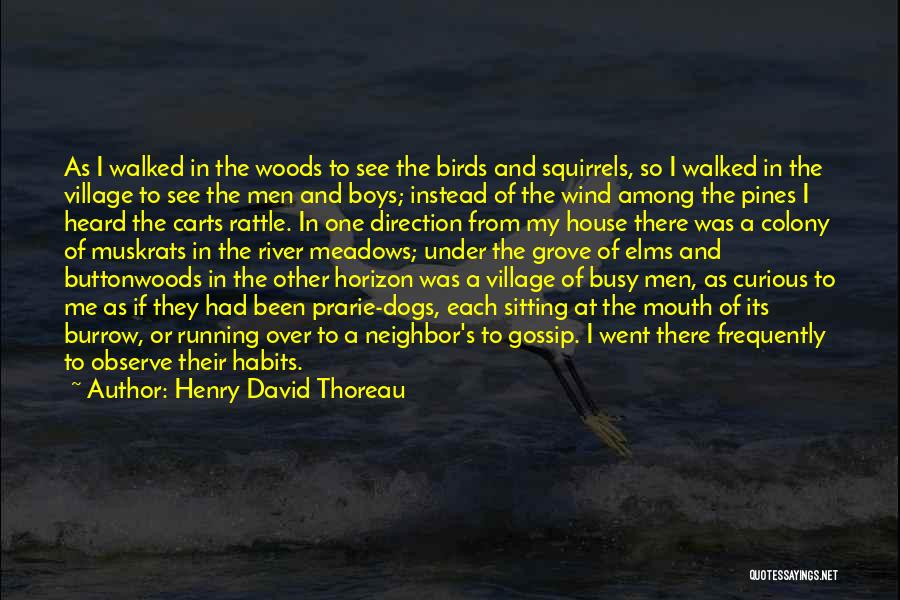 Henry David Thoreau Quotes: As I Walked In The Woods To See The Birds And Squirrels, So I Walked In The Village To See