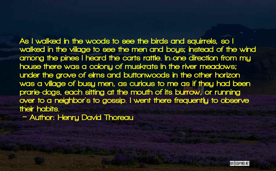 Henry David Thoreau Quotes: As I Walked In The Woods To See The Birds And Squirrels, So I Walked In The Village To See