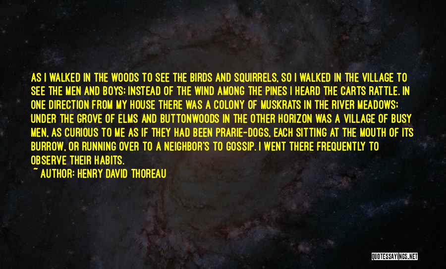 Henry David Thoreau Quotes: As I Walked In The Woods To See The Birds And Squirrels, So I Walked In The Village To See