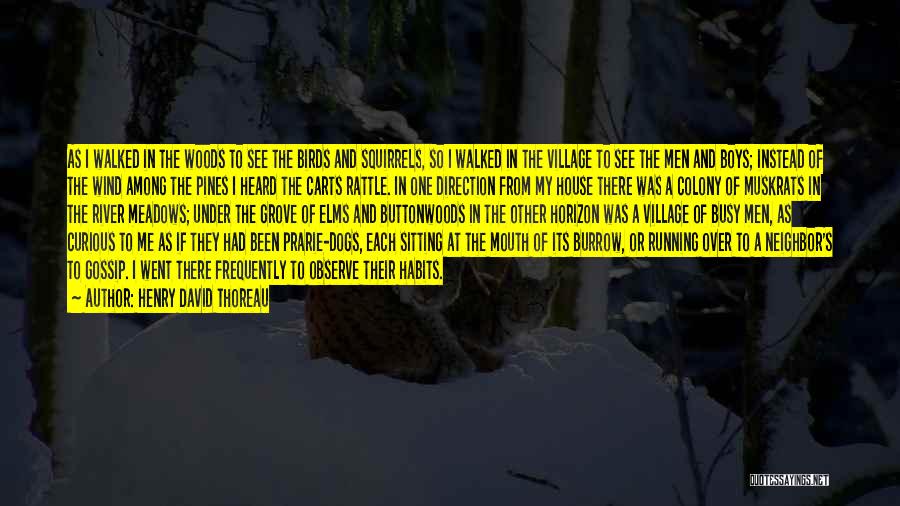 Henry David Thoreau Quotes: As I Walked In The Woods To See The Birds And Squirrels, So I Walked In The Village To See