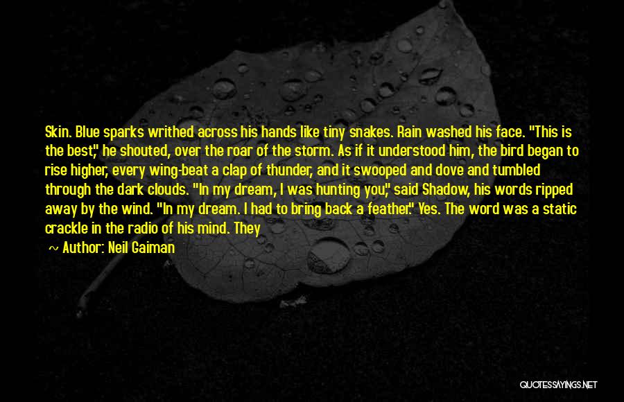 Neil Gaiman Quotes: Skin. Blue Sparks Writhed Across His Hands Like Tiny Snakes. Rain Washed His Face. This Is The Best, He Shouted,