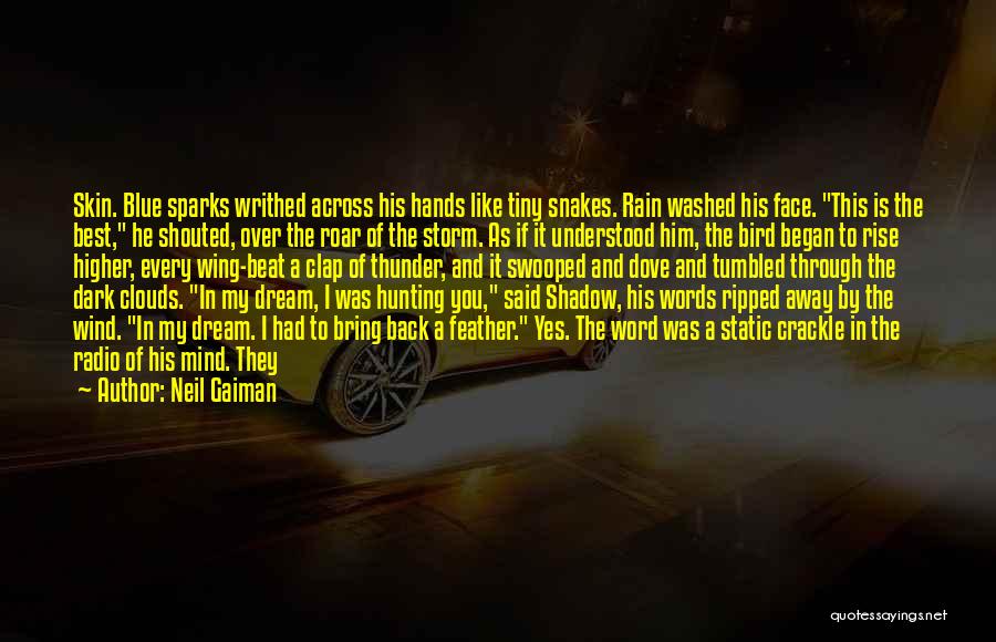 Neil Gaiman Quotes: Skin. Blue Sparks Writhed Across His Hands Like Tiny Snakes. Rain Washed His Face. This Is The Best, He Shouted,