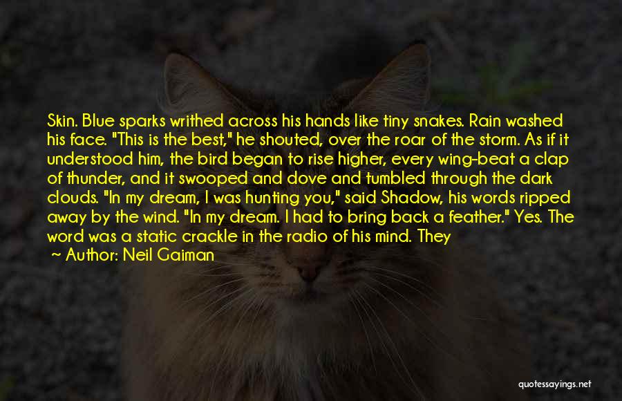 Neil Gaiman Quotes: Skin. Blue Sparks Writhed Across His Hands Like Tiny Snakes. Rain Washed His Face. This Is The Best, He Shouted,