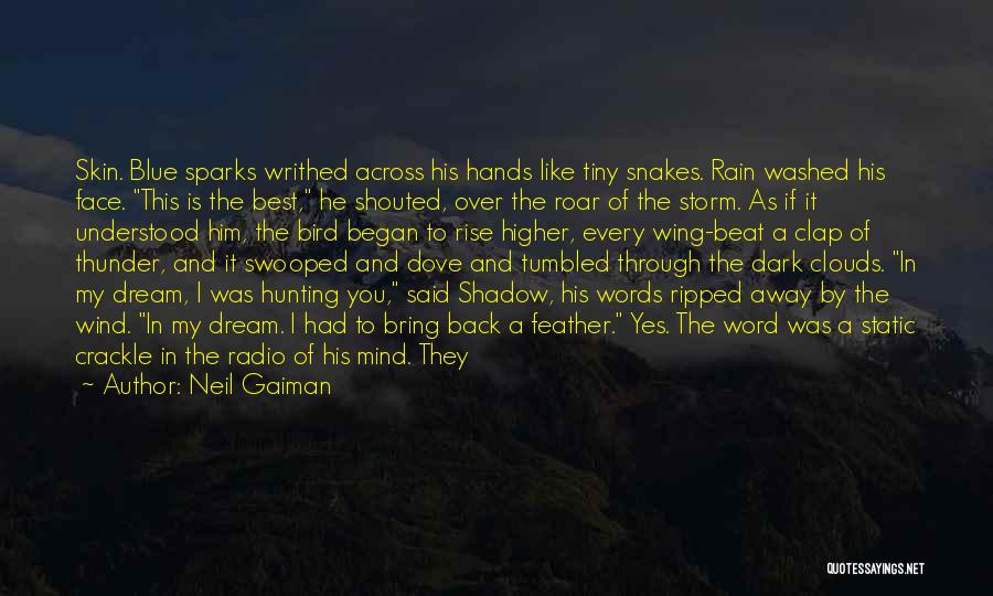 Neil Gaiman Quotes: Skin. Blue Sparks Writhed Across His Hands Like Tiny Snakes. Rain Washed His Face. This Is The Best, He Shouted,