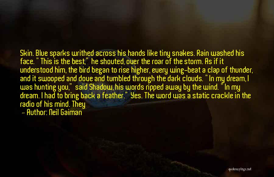 Neil Gaiman Quotes: Skin. Blue Sparks Writhed Across His Hands Like Tiny Snakes. Rain Washed His Face. This Is The Best, He Shouted,