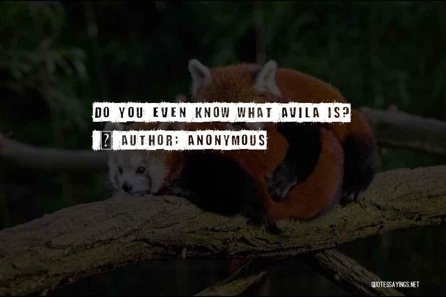 Anonymous Quotes: Do You Even Know What Avila Is?