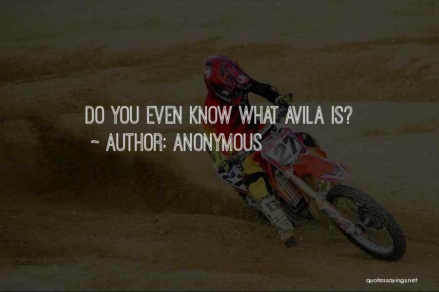 Anonymous Quotes: Do You Even Know What Avila Is?
